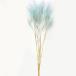 [P5 раз средний 12/02 09:59 до ] сухой цветок материалы для цветочной композиции в тот же день отгрузка [40%OFF] GPigsa голубой ( ограниченное количество ) материалы для цветочной композиции материал детали бледно-голубой интерьер resin гербарий 