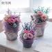�v���U�[�u�h�t�����[ �ԍ� �Ƃ�悹�i ���[�Y�E�T��(9�֓���) �h���C�t�����[ �ԍ� �f�� �p�[�c �ޗ� ���[�Y �n�[�o���E�� �v���U�[�u�h���[�Y ��n�_�� �֘A�摜5