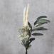 { dry flower material for flower arrangement }* the same day shipping * Aska Mix bouquet white green dry flower swag bouquet dry flower bouquet natural 