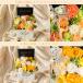 �\�[�v�t�����[ �v���[���g �����o�� ���O�W���A���[�X�^���hM ��̓��M�t�g �ސE�j�� �����j�� ���̂܂܏���� �a���� �h�V �h�V�̓� �� �{�b�N�X �� �� �֘A�摜5