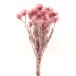 { dry flower material for flower arrangement } * the same day shipping * large ground agriculture . Mini silver te-ji- Misty - pink material for flower arrangement material raw materials parts pink beige sombreness color swag.