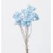  сухой цветок материалы для цветочной композиции в тот же день отгрузка imo-teru baby голубой * изображение .. немного .. случается ( ограниченное количество ) сухой цветок swag букет букет . большой земля сельское хозяйство .