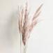 { dry flower material for flower arrangement }* the same day shipping * large ground agriculture .p room Lead pink beige . bread Pas series dry flower swag bouquet bouquet lease .