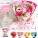 �\�[�v�t�����[ �v���[���g �����o�� �g���� �ԑ� ������ �ԑ� ������ �g���� �u�[�P �h�V�̓� ���j�� �ސE�j�� �����܂ɂȂ� �����C �\�[�v�t�����[ ��