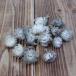 [P5 раз средний 2/2 09:59 до . покупка ] сухой цветок материалы для цветочной композиции в тот же день отгрузка серебряный Дэйзи head жемчуг серый серебряный te-ji- материалы для цветочной композиции материалы материал детали букет восток person торговля 