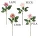  искусственный цветок .... товар pyu Arrows спрей rose роза роза ..rose один колесо лаванда лиловый светло-коричневый pi-chi крем розовый лаванда viva прикладное искусство 