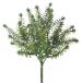 { artificial flower green }*.... goods *Viva fresh rosemary interior fake green parts interior flower fake flower 