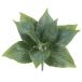 искусственный цветок зеленый .... товар ho старт втулка стена поверхность зеленый . ho старт лист .. leaf зеленый интерьер поддельный детали интерьер цветок материалы для цветочной композиции материалы viva прикладное искусство 