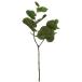  искусственный цветок зеленый .... товар si- серый pb ланч интерьер искусственная зелень детали интерьер цветок поддельный цветок шелк цветок весна viva прикладное искусство 