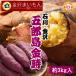  sweet potato .. island gold hour M size 3kg sweet potato Satsuma corm .. vegetable Ishikawa prefecture production Kanazawa .... sushi carefuly selected roasting corm ... corm .. island gold hour 1 box 3kg