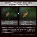 OMSYSTEM�@M.ZUIKO DIGITAL �e���R���o�[�^�[ MC-14�@MC14 �֘A�摜3