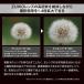 OMSYSTEM�@M.ZUIKO DIGITAL �e���R���o�[�^�[ MC-14�@MC14 �֘A�摜4