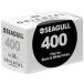 olientaru монохромный плёнка новый Seagull 400 135-36 листов ..NSG400135361S