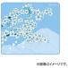 X-raypad��Aqua Control II-Sakura-Blue-XLS (500x500x4mm)��xr-aqua-control2-sakura-blue-xls