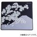 X-raypad��Aqua Control II-Sakura-Night-XLS (500x500x4mm)��xr-aqua-control2-sakura-night-xls
