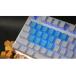 Tai-HaoTai-Hao Rubber Gaming Backlit Keycaps keys Neon ߥ󥰥åסth-rubber-keycaps-neon-blue-18 ֥ͥ롼