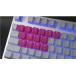 Tai-Haoߥ󥰥åסth-rubber-keycaps-neon-pink-18 ͥԥ