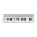  Casio CASIO клавиатура Casiotone( Casio цветный ) белый [61 клавиатура ] CT-S1WE