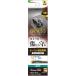 �饹���Хʥʡ�iPhone 16 Pro/16 Pro Max�� �������˴��Ĥ��ʤ� ������󥺥��饹 ñ�� ���ꥢ��CR4421IP4617P