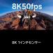 INSTA360�@X6 �G�b�Z���V�����o���h�� �m4K�Ή� / �h���n �~�b�h�i�C�g�u���b�N�@CINSABXA-X603 �֘A�摜2