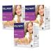 �y3�Z�b�g�z�t�F���E�F�C ��p�g�U��1��+���L�b�h �L�p 48ml �y���^��z�ցz