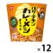 日清バターチキン カレーメシ まろやか 12個 日清食品