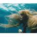  Splash daliru рукоятка naSplash Daryl Hannah, импорт фотография примерно 20.3x25.4cm 10233r