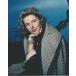  крыло крышка Burgman Ingrid Bergman импорт фотография примерно 20.3x25.4cm 10369.