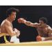  Rocky порог двери Bester старт заем Sylvester Stallone примерно 20.3x25.4cm импорт фотография 41078.