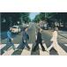  карта размер фотография смартфон кейс. средний тоже Beatles abbey road THE BEATLES ABBEY ROAD примерно 8.5 x 5.4cm cd0009