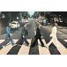  импорт маленький размер постер фотография Beatles abbey road THE BEATLES ABBEY ROAD примерно 43x28cm j0080.