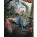  Alice in wonder Land Alice in Wonderland Anne - sa way Anne Hathaway импорт фотография 20.3x25.4cm yd-10734