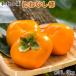 fu.... налог Кинокава [ осенний тест .] Wakayama производство. .. нет хурма примерно 3.6kg(L*2L размер случайный )
