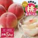 fu.... tax . rice field city Nagano prefecture production peach (.. attaching ) approximately 5kg preeminence goods (2024 year 7 month last third ~8 month last third shipping )