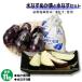 fu.... tax Kishiwada city water eggplant ...5 piece insertion . water eggplant 6 piece insertion set 