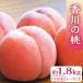 fu.... tax peach Takamatsu city [ preceding acceptance 2024 year ] Kagawa. peach vanity case approximately 1.8kg