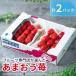 fu.... tax Dazaifu city [ Dazaifu ] fruit speciality shop . chosen [.....] winter 2 pack 