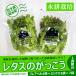 fu.... налог легкий рис блок [ растения завод .... lettuce ][ lettuce. ....]1 неделя минут ( итого 7 пакет )