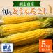 fu.... tax net mileage city [ preceding acceptance ] Hokkaido net mileage production beautiful taste corn set 5kg( approximately 10ps.@)
