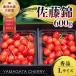 fu.... налог холод река . город 2026 год производство вишня [ Sato .] 600g превосходящий товар L и больше (300g×2) Yamagata префектура производство 