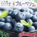 fu.... tax . another city [ preceding currently accepting ] raw blueberry MIX 1kg Hokkaido *. another production blueberry [ large . cherry .]