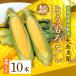 fu.... tax . good . city [ preceding acceptance ] morning .. corn 10ps.@ Hokkaido . good . city [ Ooshima agriculture .]
