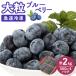 ふるさと納税 佐倉市 【大粒】冷凍 ブルーベリー 2kg (500g×4パック)