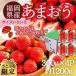 fu.... налог Dazaifu город [.... ограничение ][12 месяц .. последовательный отправка ].... примерно 300g×4 упаковка ( примерно 1.2kg)( Dazaifu город )