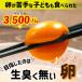 ふるさと納税 四万十町 生臭さのないおいしい卵(6個入×5パック=30個入)