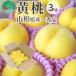 fu.... налог Yamagata префектура желтый персик 3kg 8~12 шар передний и задний (до и после) превосходящий товар подарок для большой шар товар вид случайный Yamagata префектура производство [. мир 8 год производство предшествующий предварительный заказ ]