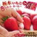 fu.... налог .. город роскошный! Tochigi клубника 2 вид ( Sky Berry *.....) крупный еда . сравнение комплект (300g×2 упаковка )