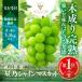fu.... налог Цу гора город предшествующий прием [ три звезда виноград ] звезда . автомобиль in мускат (3.~4.1.8kg и больше ) Okayama префектура производство 