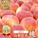 fu.... tax Yamanashi city [ with translation ] peach 5~9 sphere 2kg and more 2024 year 6 month middle ... sequential shipping expectation 