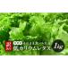 fu.... налог прекрасный . блок есть перевод низкий калий lettuce 1kg(500g×2 пакет ) не комплект стерильное помещений культивирование культивирование период средний пестициды не использование 